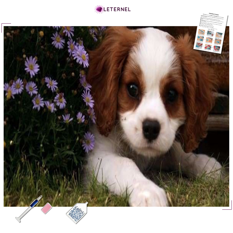 Broderie Diamant - Chien mignon