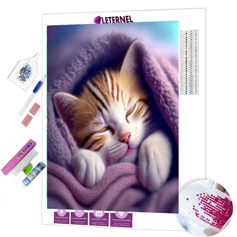Broderie Diamant - Chaton endormi