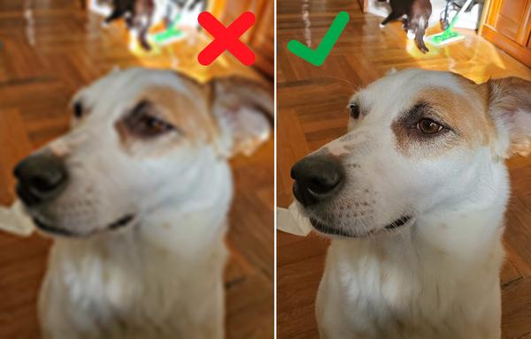 quelle photo pour mon dp personnalisé