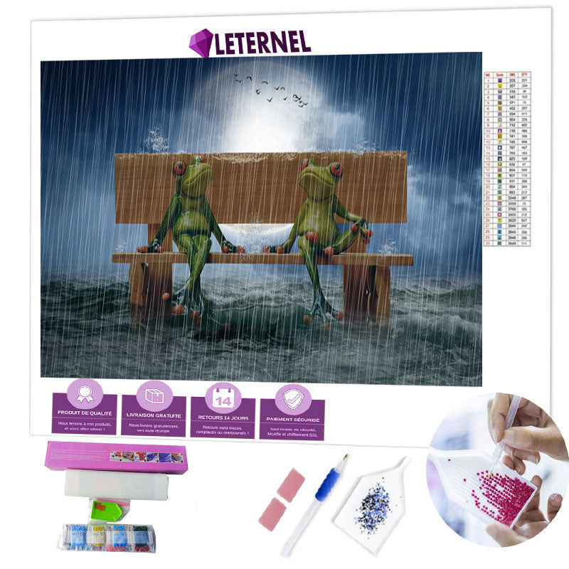 Broderie Diamant - Couple grenouille