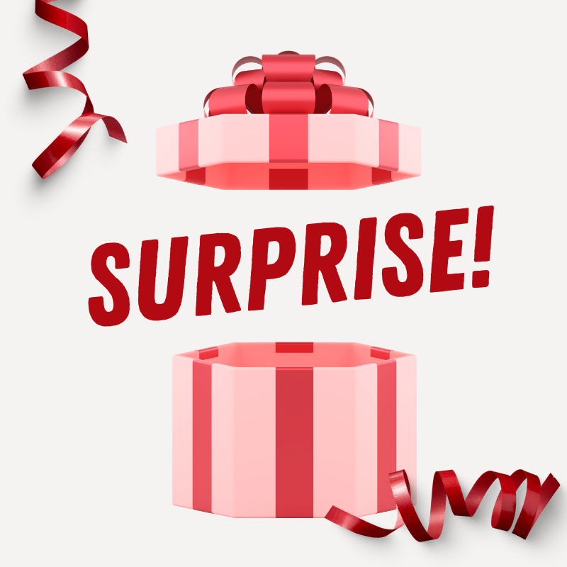 Cadeau SURPRISE