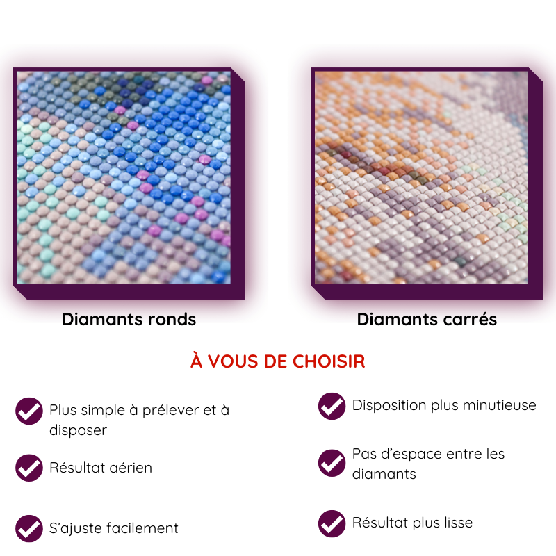 Broderie Diamant - Perroquet fleuri