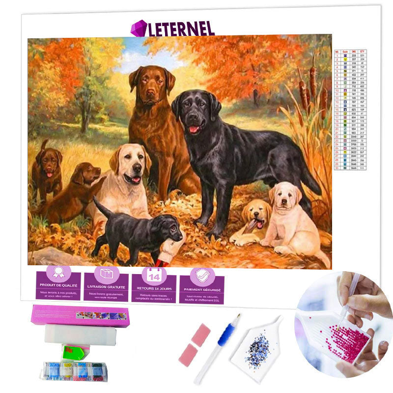 Broderie Diamant - Labrador automne