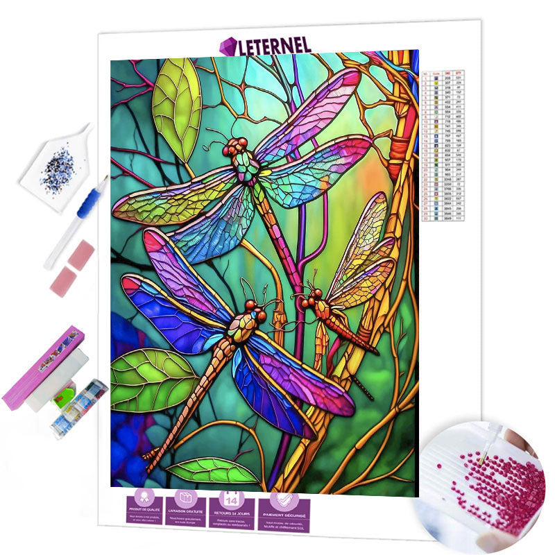 Broderie Diamant - Libellules