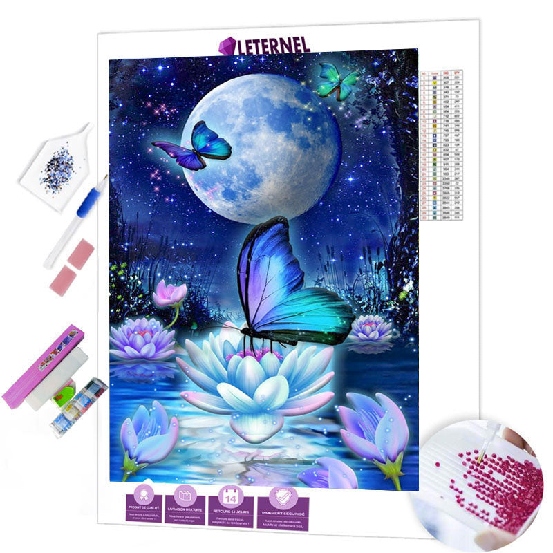 Broderie Diamant - Nuit papillon