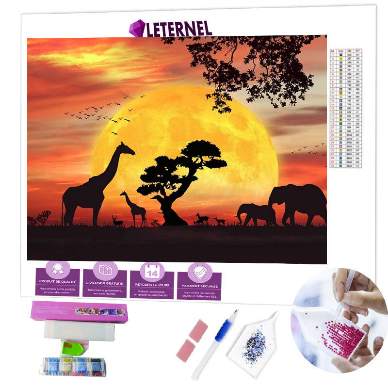 Broderie Diamant - Paysage savane