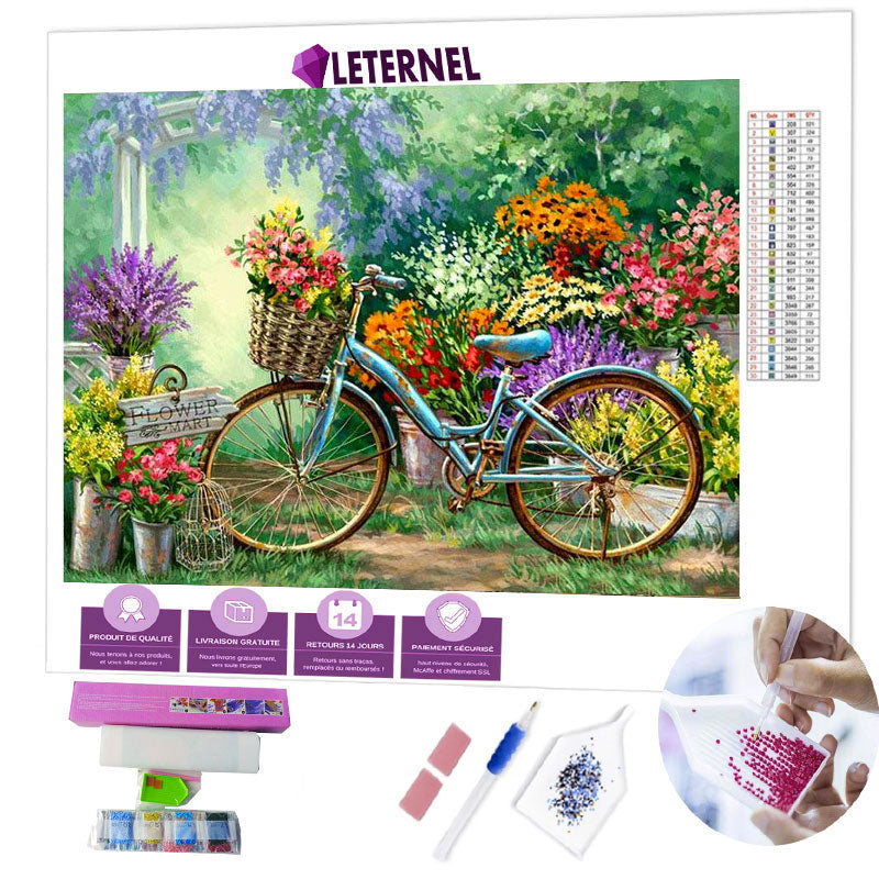 Broderie Diamant - Peinture vélo