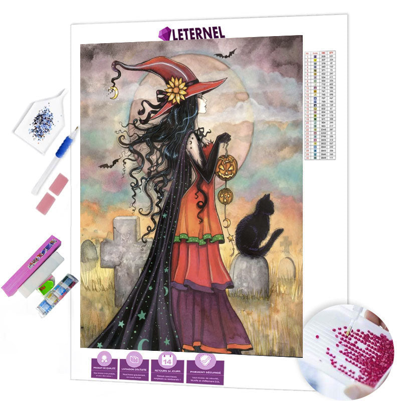 Broderie Diamant - Sorcière chat noir