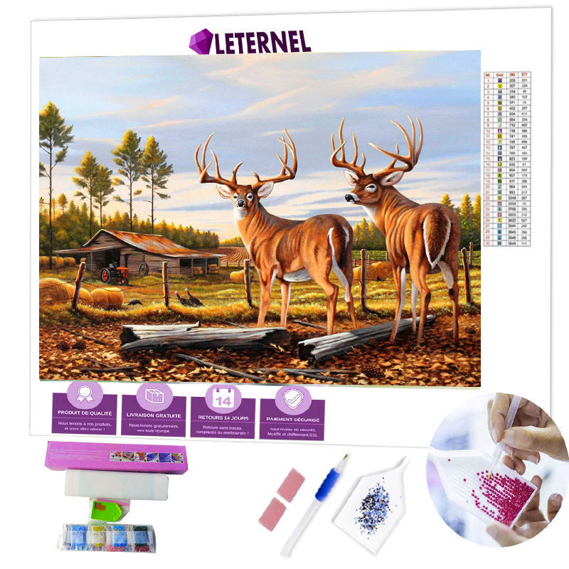 Broderie Diamant - Cerf grange