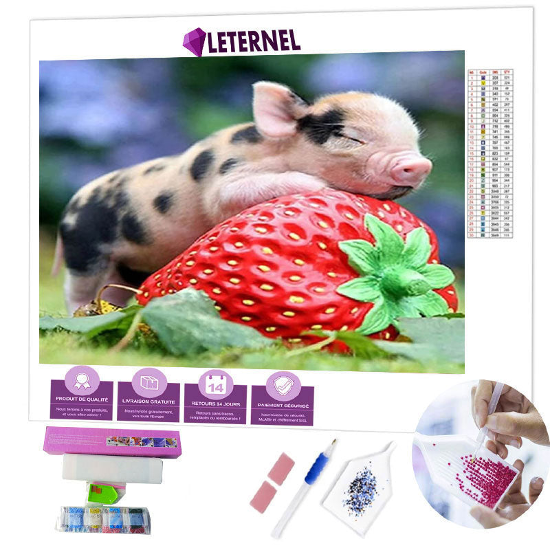 Broderie Diamant - Porcelet fraise