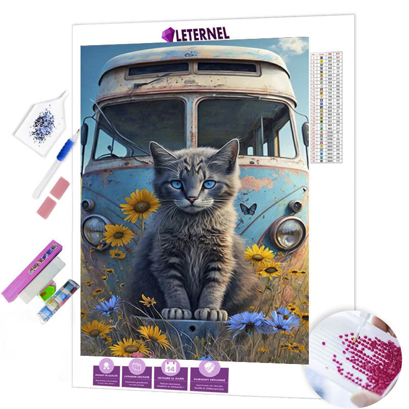 Broderie Diamant - Van chat