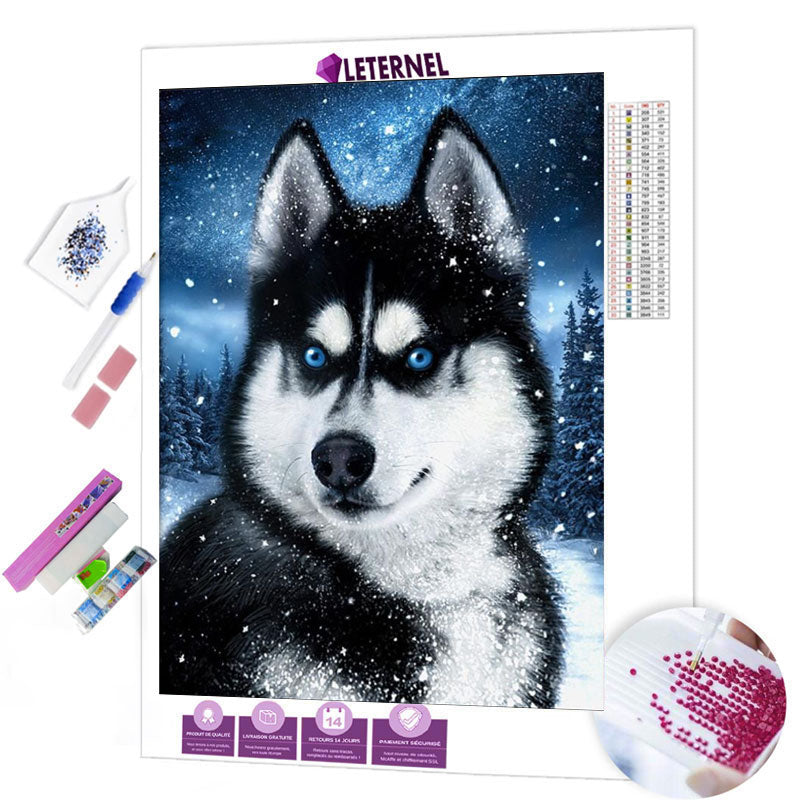 Broderie Diamant - Loup de neige