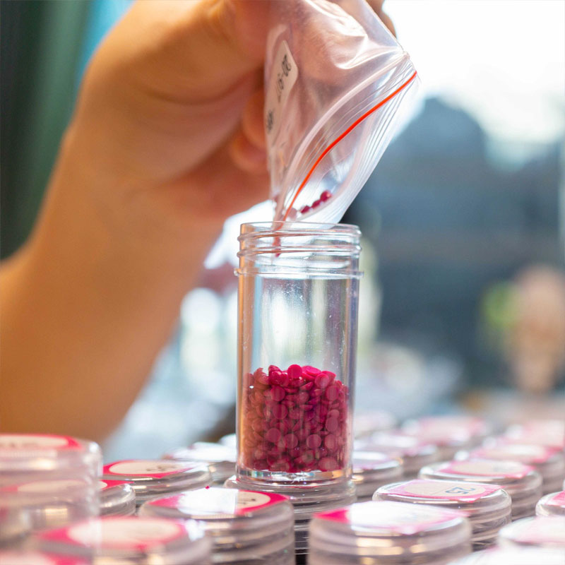 reste diamant broderie