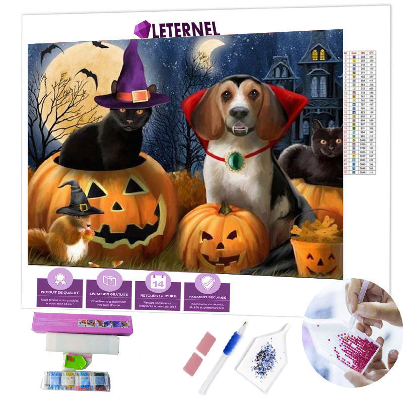 Broderie Diamant - Animaux Halloween