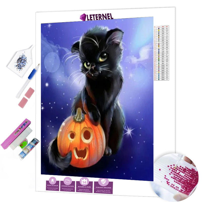 Broderie Diamant - Chaton citrouille
