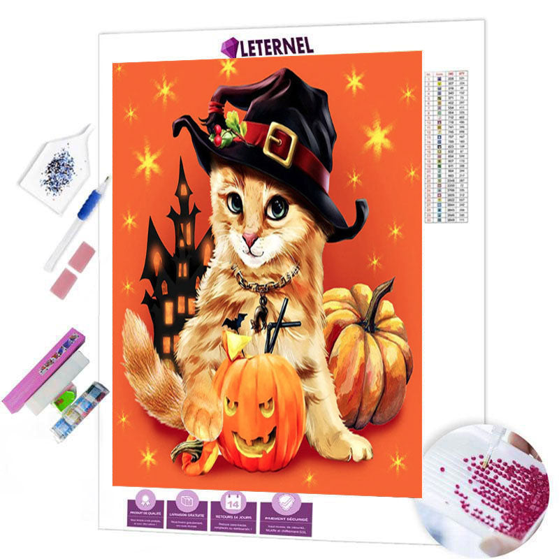 Broderie Diamant - Chaton déguisé