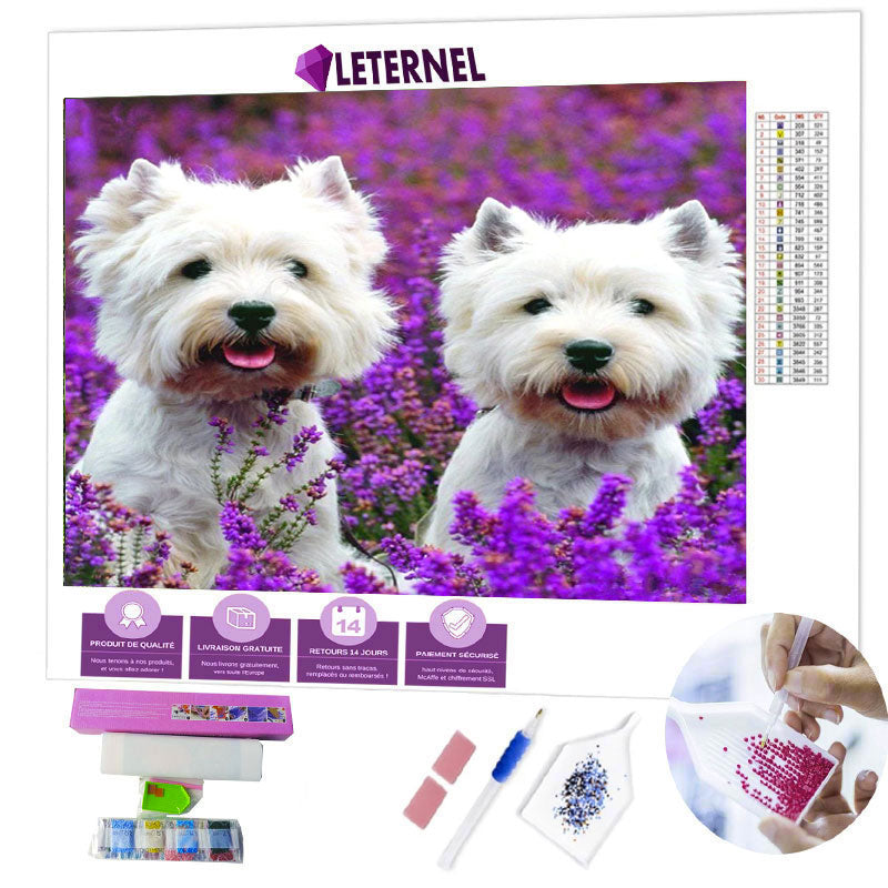 Broderie Diamant - Chiens westie
