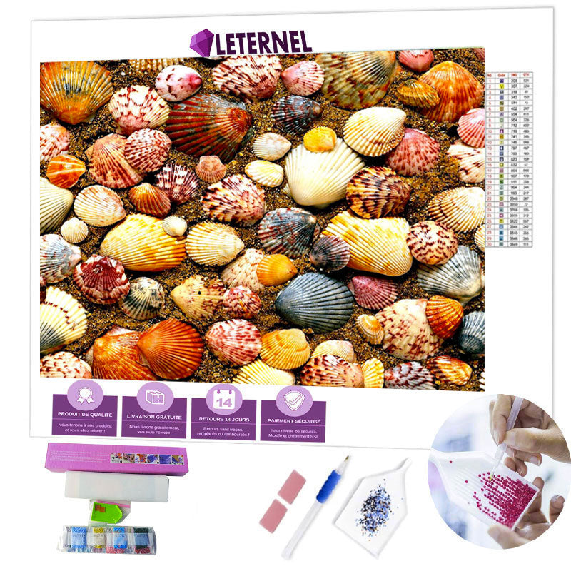 Broderie Diamant - Coquillages orangés