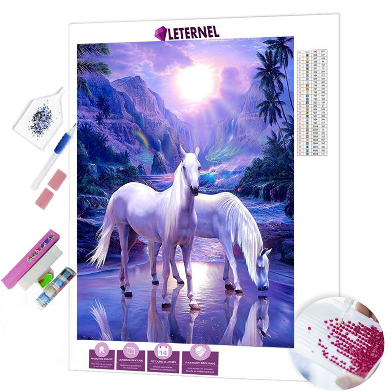 Broderie Diamant - Duo chevaux blancs