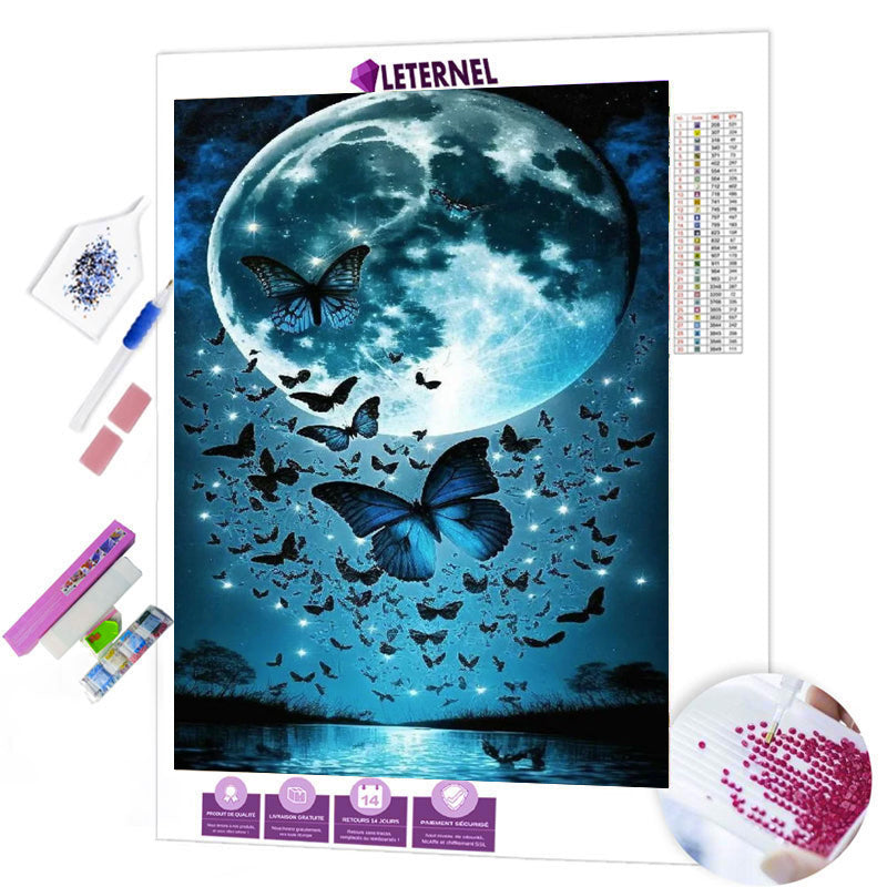 Broderie Diamant - Papillons lune